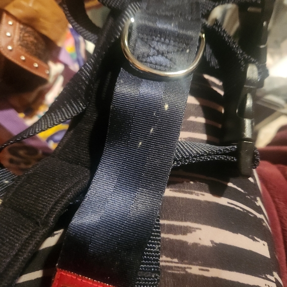 Seatbelt for dog - Picture 2 of 2